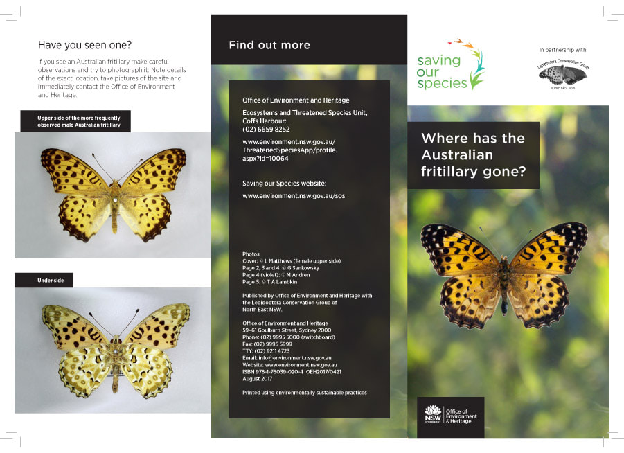 Butterfly Identification Chart Australia